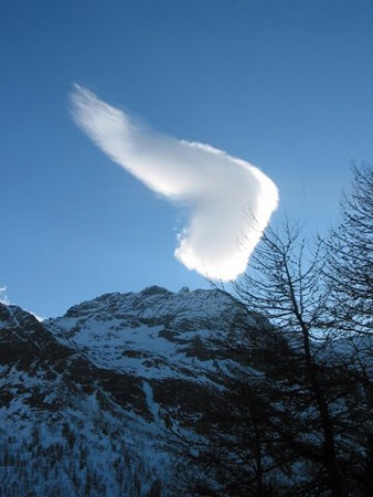 Photo:  angel wings 
